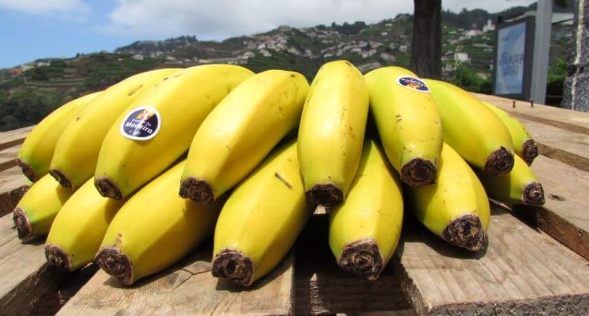 25 Frutos Típicos do Arquipélago da Madeira - Banana
